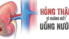 3 thói quen uống nước làm hỏng thận nhiều người mắc