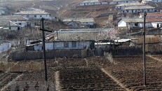 Đất trồng trọt khô hạn tại Nampho, tỉnh Nam Phyongan, Triều Tiên. (Nguồn: AFP/TTXVN)