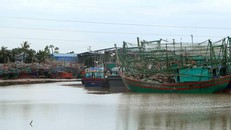 Tàu, thuyền neo đậu tránh trú bão. (Ảnh: An Đăng/TTXVN)