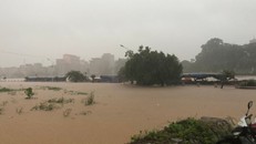 Quảng Ninh khẩn trương khắc phục hậu quả cơn bão số 3