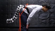 Đuôi nhân tạo giúp con người di chuyển dễ dàng hơn.