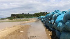 Hàng ngàn bao cát đắp dọc tuyến đê để ngăn nước tràn vào đồng ruộng. (Ảnh: Tuấn Anh/TTXVN)