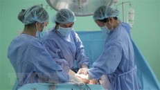 Ảnh minh họa. (Nguồn: TTXVN)