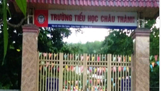 Hiệu trưởng bị tố 'ăn chặn' sữa học đường của học sinh nghèo