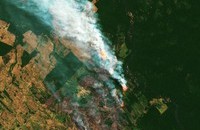 Lửa đang thiêu rụi rừng Amazon với tốc độ 110 sân bóng mỗi giờ