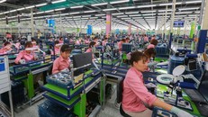 Nữ nhân viên sản xuất trong nhà máy Samsung.