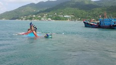 Tàu cá QNg 97459 gặp nạn tại khu vực đảo Cù Lao Chàm. Ảnh: Anh Hồng.