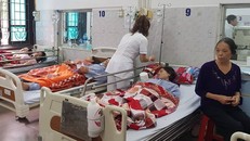 Các nạn nhân được điều trị tại Bệnh viện đa khoa tỉnh Nam Định. (Ảnh: Công Luật/TTXVN)