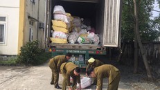 Hà Tĩnh: Bắt giữ xe container chở gần 12 tấn nội tạng động vật đang thối rũa