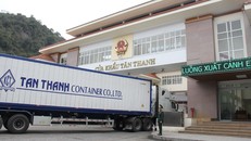 Hải quan Tân Thanh: Không có tình trạng xuất lậu lợn sang Trung Quốc