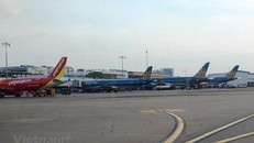 Máy bay của các hãng hàng không Vietnam Airlines và Vietjet. (Ảnh: Việt Hùng/Vietnam+)