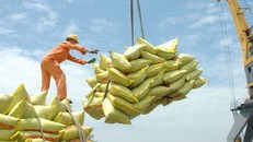 Thủ tướng đồng ý xuất khẩu gạo trở lại nhưng phải đảm bảo an ninh lương thực - Ảnh minh họa