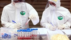 Lấy mẫu xét nghiệm COVID-19. (Nguồn: TTXVN)