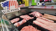 Ảnh chỉ có tính minh họa. (Nguồn: Al Jazeera)