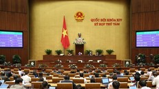 Các đại biểu Quốc hội biểu quyết thông qua Luật Xuất cảnh, nhập cảnh của công dân Việt Nam. (Ảnh: Dương Giang/TTXVN)