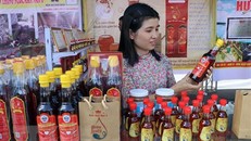 Các sản phẩm nước mắm do làng nghề Nam Ô sản xuất. (Ảnh: Trần Lê Lâm/TTXVN)