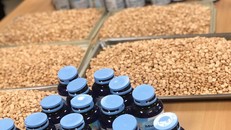 Nóng: Thu giữ 19kg ma túy tổng hợp vận chuyển qua sân bay quốc tế Nội Bài