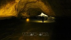 Trong hang có những nơi trần cao, lòng hang rộng, còn giữ nguyên vẻ đẹp hoang sơ. Ảnh: Phan Tuấn Anh/TTXVN