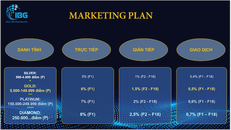 IBG có nhiều gói đầu tư từ Silver (bạc), Gold (vàng), Platinum (bạch kim) đến Diamond (kim cương). Ảnh chụp màn hình