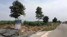 Công ty Asia Invest bị tố lừa đảo chiếm đoạt tài sản với số tiền hơn 70 tỷ đồng tại dự án khu dân cư (39 ha) xã Phước An. Ảnh: Trần Anh Ngọc