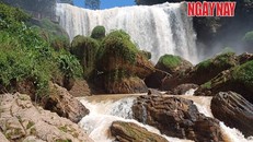 Năm 2011, di tích thắng cảnh quốc gia Thác Voi được UBND tỉnh Lâm Đồng cấp cho công ty Việt REMAX khai thác.