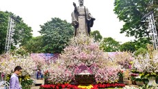 Chỉ còn ít ngày nữa là diễn ra lễ hội hoa Anh đào Nhật Bản-Hà Nội 2019 với nhiều hoạt động phong phú. Theo ghi nhận của PV Dân Trí sáng ngày 28/3 công tác chuẩn bị trang trí diễn ra khẩn trương sẵn sàng cho đêm khai mạc.