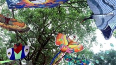 Sản phẩm diều truyền thống của Huế. (Ảnh: Hoàng Hùng/TTXVN)