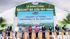 Vinamilk khánh thành “Resort” bò sữa tại Tây Ninh – môi trường sống lý tưởng cho những cô bò hạnh phúc