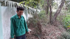 Anh Lê Minh Cảnh chỉ khu chôn cất các thai nhi 