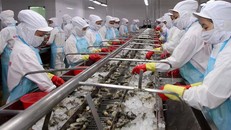 Thuỷ sản Việt Nam từng bị EU phạt thẻ vàng năm 2017. 