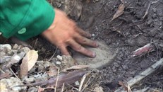 Những hũ sành được cho là chứa thi thể thai nhi