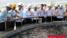 Thủ tướng Chính phủ Nguyễn Xuân Phúc kiểm tra chất lượng nước thải tại Formosa ngày 20/07/2018