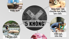 "Năm điều KHÔNG" được các chuyên gia dịch tễ khuyến cáo trong phòng và chống dịch tả lợn Châu Phi 