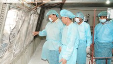Thủ tướng kiểm tra công tác chống dịch tả lợn châu Phi ở Đông Anh. Ảnh VGP/Quang Hiếu