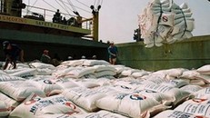 Xuất khẩu nhiều loại nông sản sụt giảm mạnh trong 5 tháng đầu năm 2019