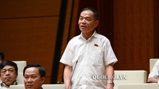 Đại biểu Quốc hội Lê Thanh Vân. (Ảnh: Quochoi.vn) 