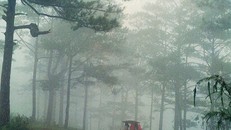 Đà Lạt những năm 1980. Ảnh: MPK