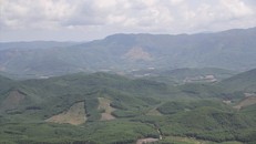 Thi thể ông Bảo được phát hiện tại rừng keo ở gần khu vực suối có tục danh Tà Ngao.