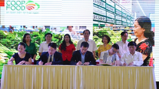 Đại diện các doanh nghiệp ký cam kết phòng chống rác thải nhựa trong sản xuất, phân phối tiêu dùng.