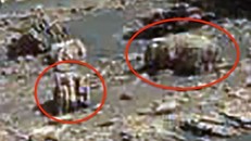 Những hình ảnh được cho là đồ cơ khí trên sao Hoả. Ảnh: Express