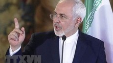  Ngoại trưởng Iran Mohammad Javad Zarif (Nguồn: IRNA/TTXVN)
