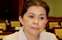 Bà Đào Thị Hương Lan trong kỳ họp HĐND TP HCM năm 2014. Ảnh: An Nhơn.