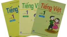 “Tiếng Việt 1 - Công nghệ giáo dục” của GS Hồ Ngọc Đại đã bị 15/15 thành viên HĐTĐ xếp loại “không đạt”.