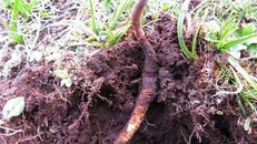 Ảnh minh họa. Nguồn Internet