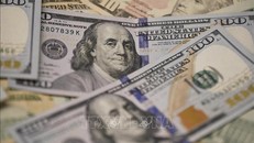 Đồng USD tại một ngân hàng ở Washington, DC, Mỹ. Ảnh: THX/TTXVN