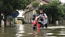 Ảnh minh họa/internet