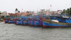 Tàu thuyền neo đậu tránh bão tại cảng cá Đông Tác, phường Phú Đông, TP Tuy Hòa (Phú Yên). Ảnh: PHẠM CƯỜNG (TTXVN)