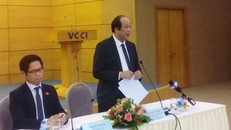 Tổ trưởng Tổ công tác Mai Tiến Dũng phát biểu tại buổi làm việc. - Ảnh: VGP