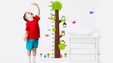 Sau 2 tuổi, tốc độ tăng trưởng không quá nhanh khoảng 6,2 cm mỗi năm, mật độ xương cũng tăng lên khoảng 1% một năm ở cả bé trai và bé gái. (Ảnh minh hoạ)