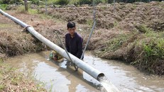 SGK Toán 1 giáo sư chủ trì biên soạn có hay không sách tham khảo cho học sinh lớp 1?